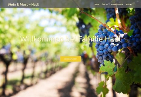 Website Wein und Most Hadl am Desktop
