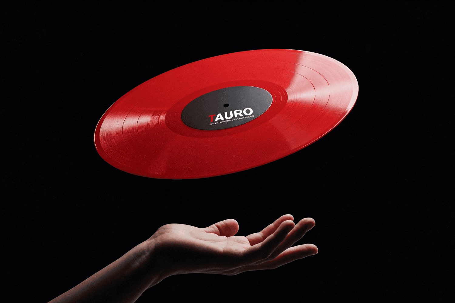 Musikproduktionen und Konzeote